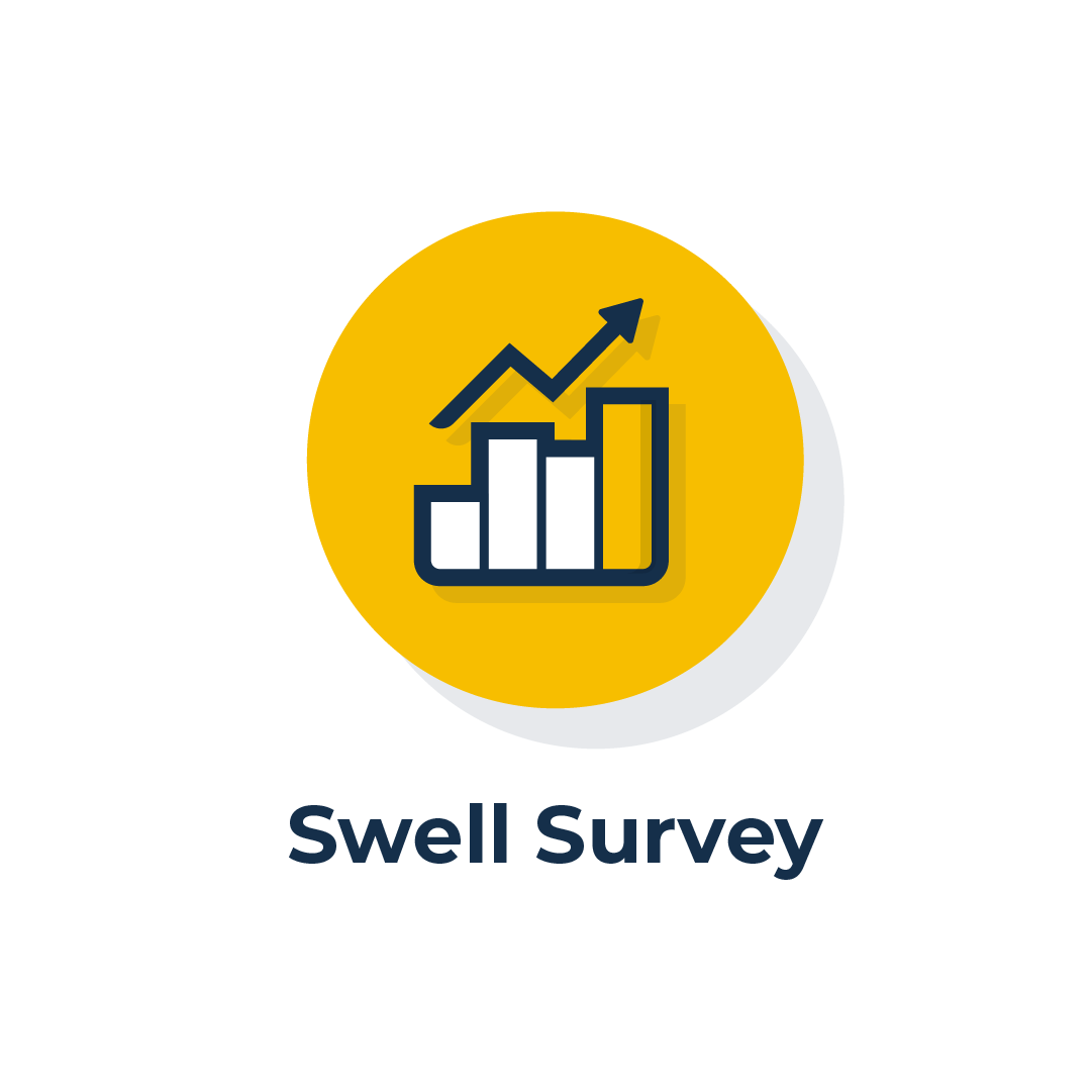 Swell Survey Icon