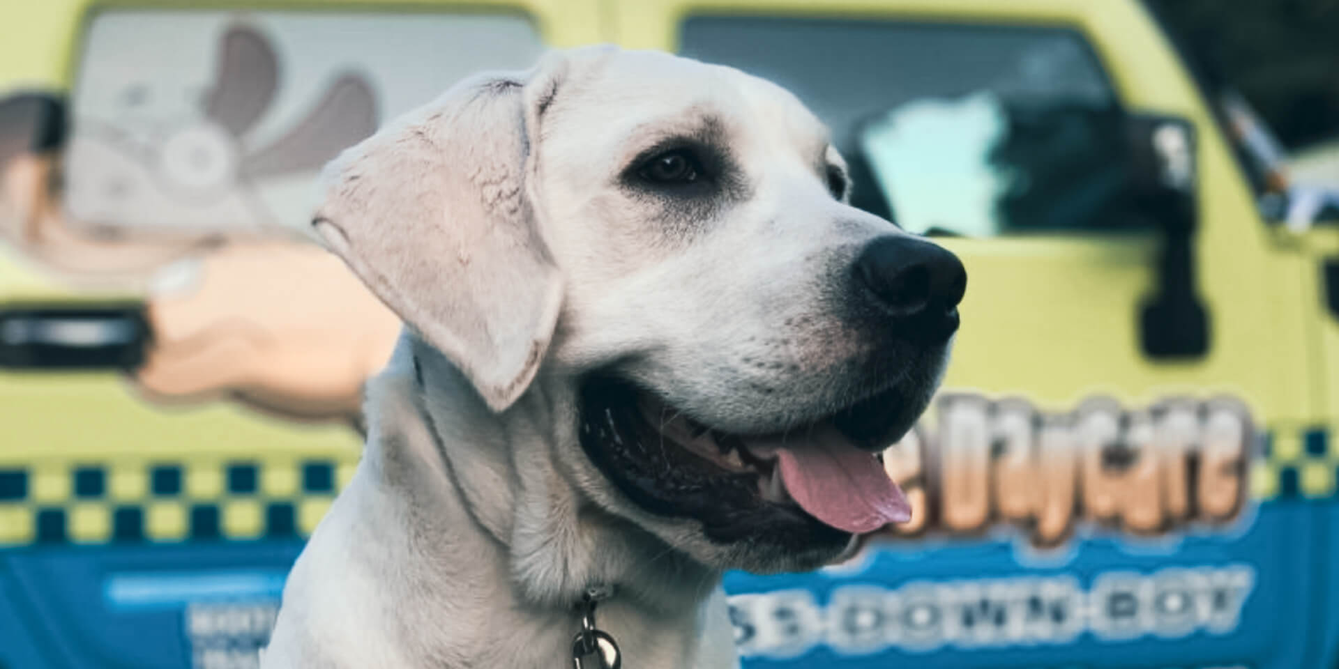 Hounds Town Case Study