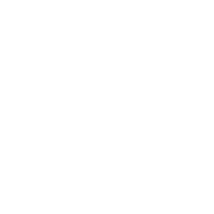 A globe icon